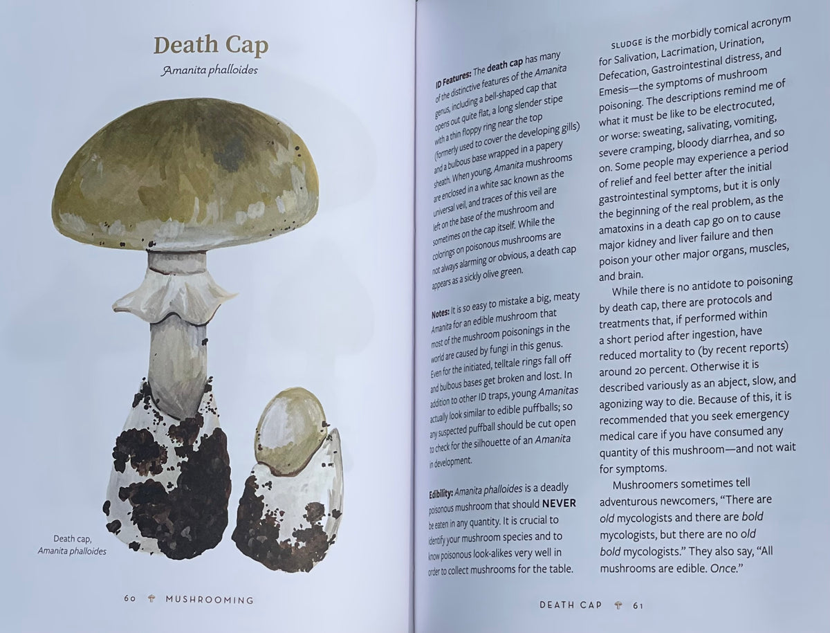 Mushrooming: An Illustrated Guide to the Fantastic, Delicious, Deadly, and Strange World of Fungi Adaptagen Cordyceps Death Cap Mushroom