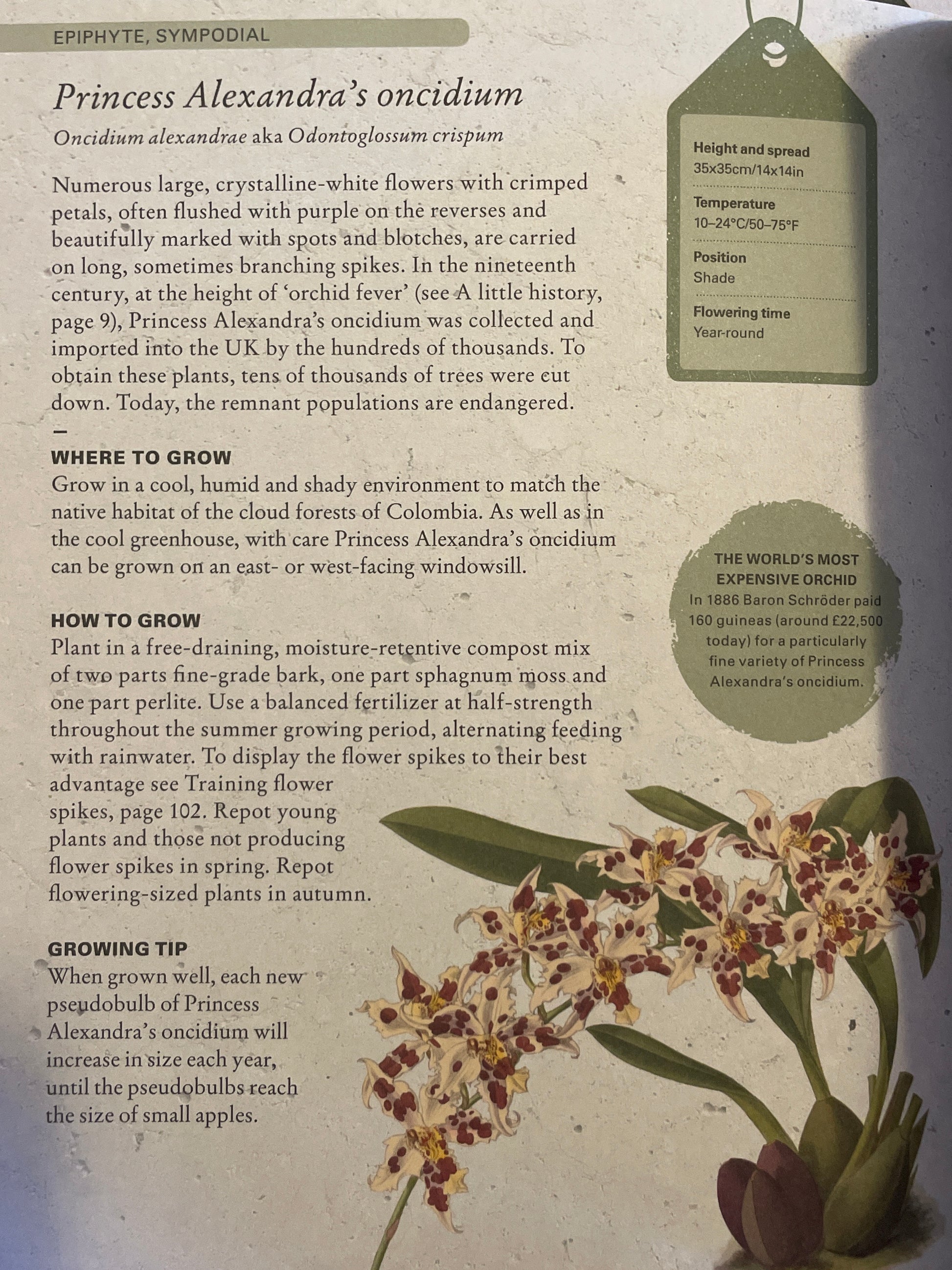 The Kew Gardener’s Guide to Growing Orchids - The Art and Science to Grow your Own Orchids Gardening Book