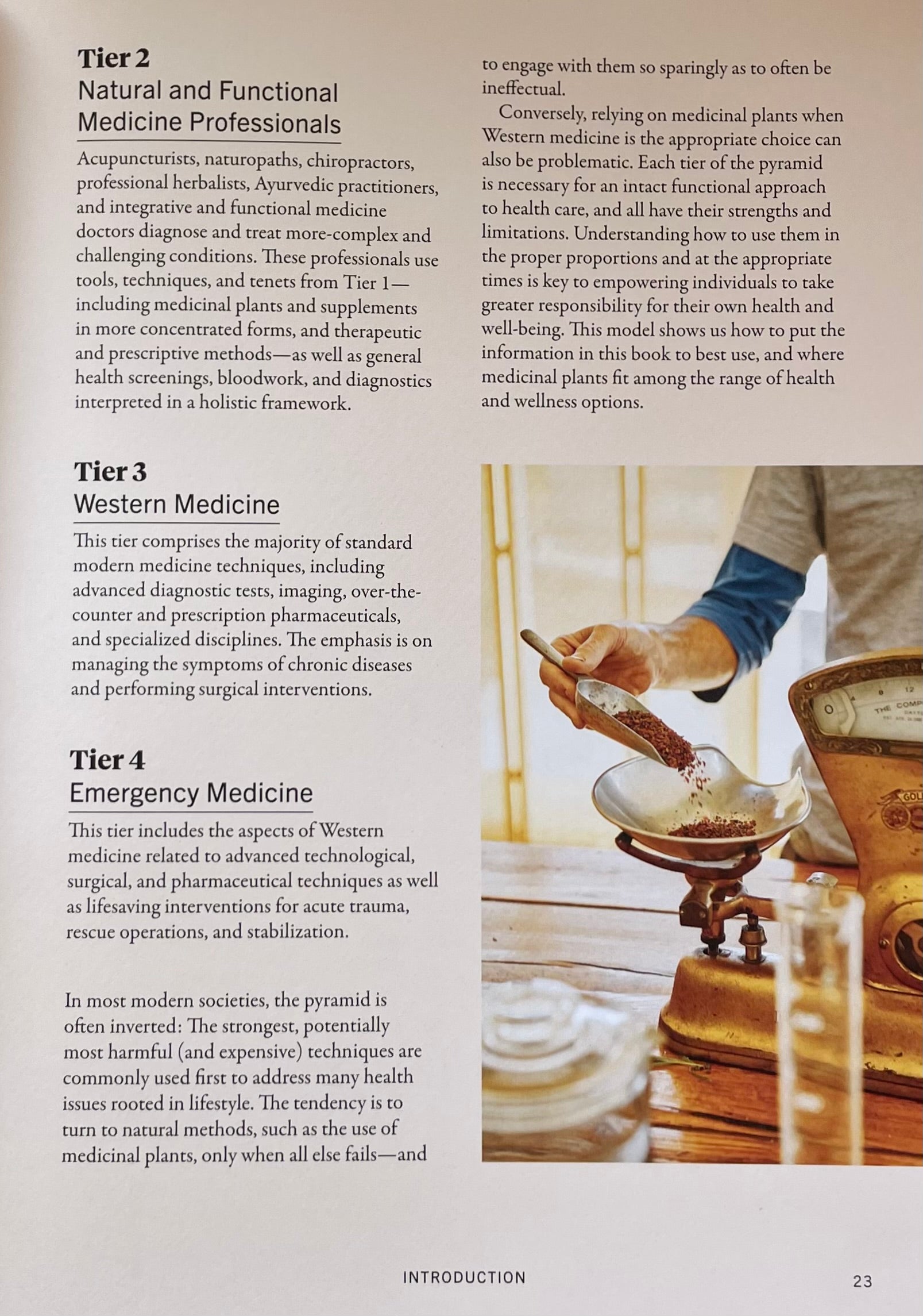 The Plant Medicine Protocol: Unlocking the Power of Plants for Optimal Health and Longevity Hardcover Herbal Remedy Vegan Cooking Book