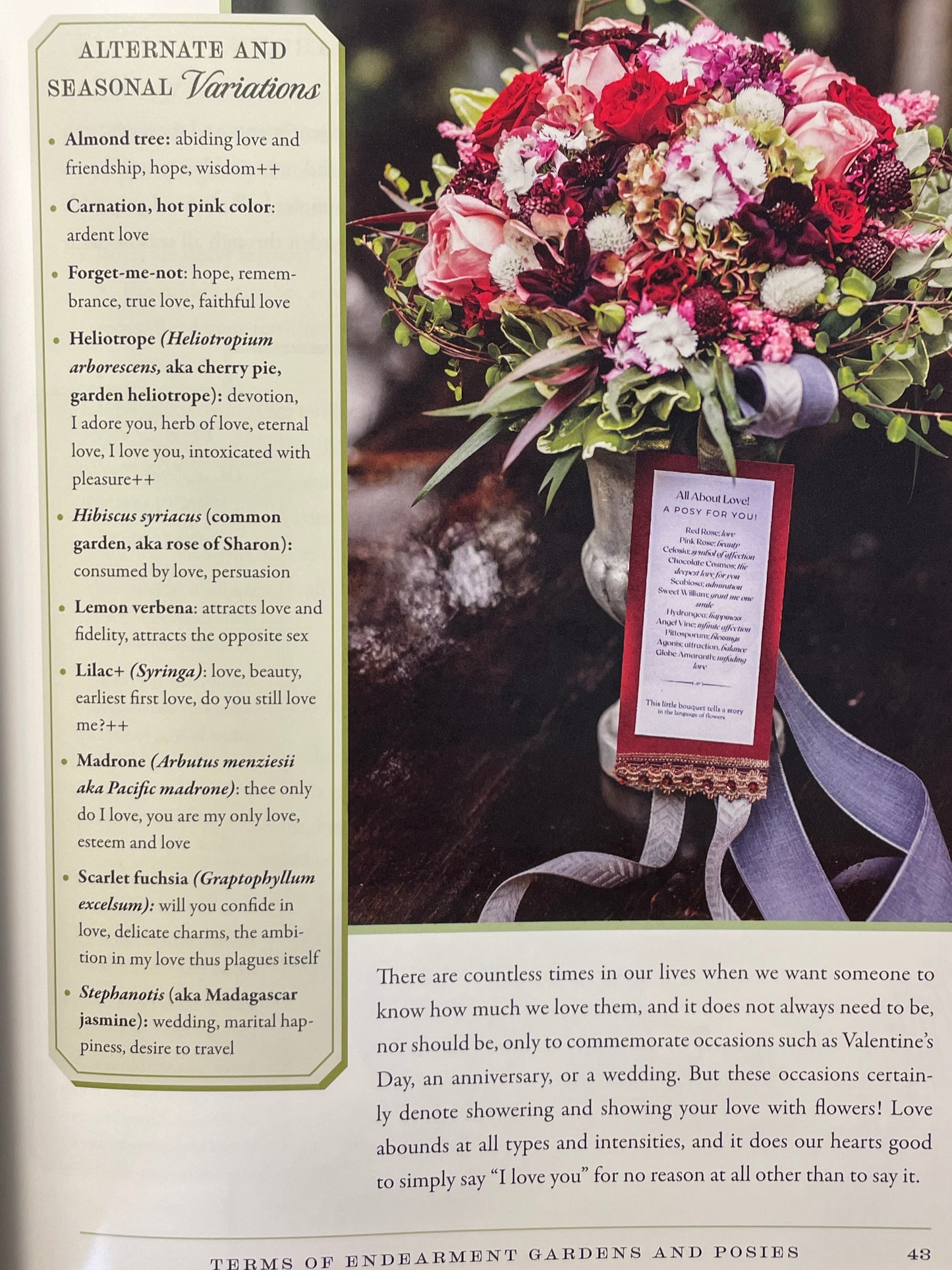 Modern Floriography Book of Flowers Garden Gift Language of Flowers Birthday Present Idea for Flower Lover Flower Design Floral Arrangement