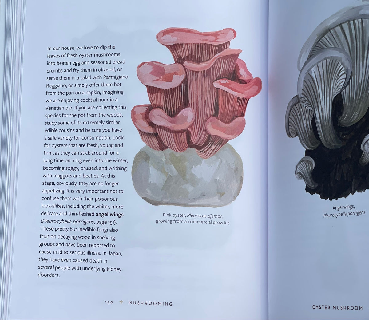 Mushrooming: An Illustrated Guide to the Fantastic, Delicious, Deadly, and Strange World of Fungi Adaptagen Cordyceps Pink Oyster Mushroom