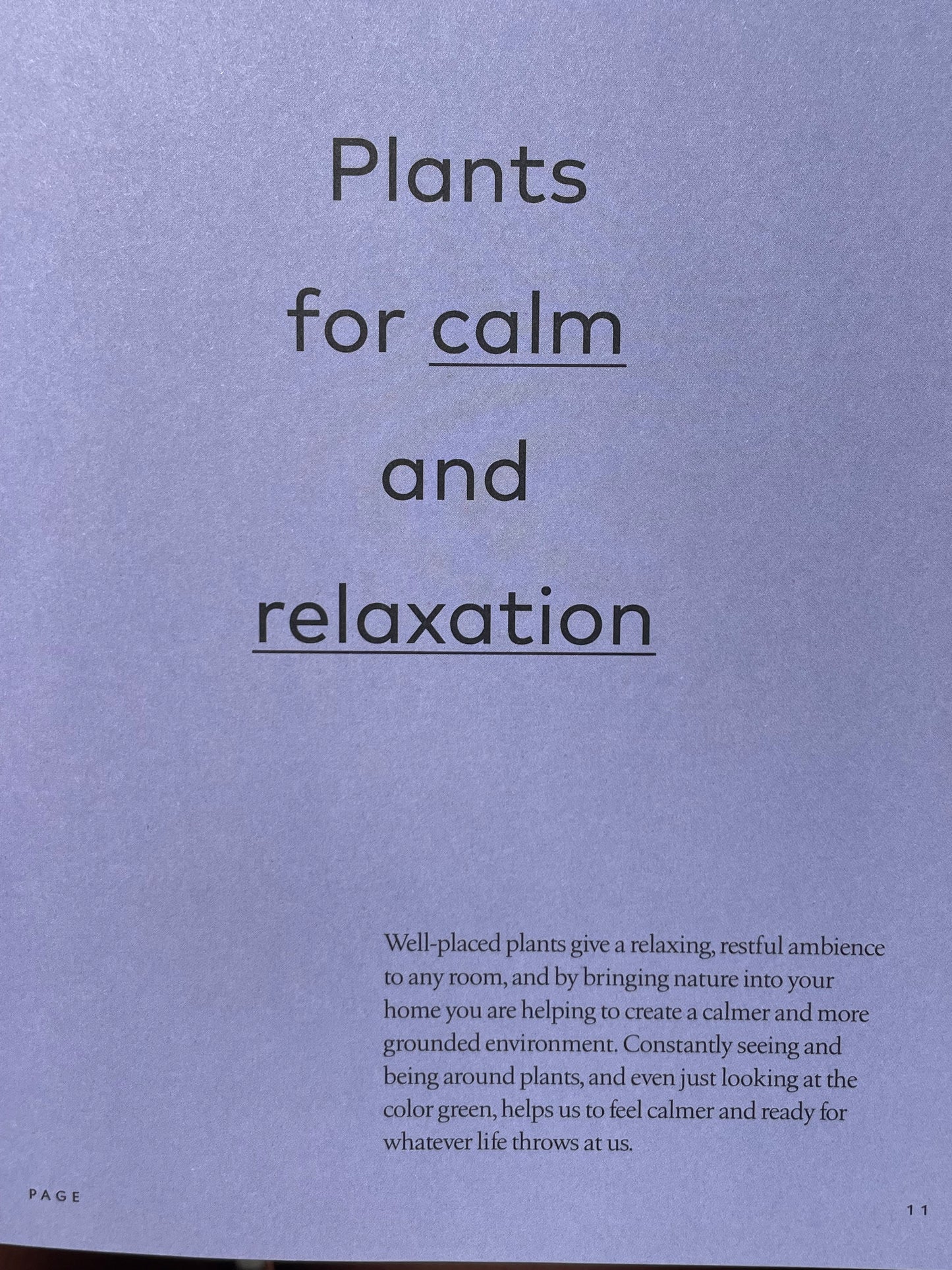 Medicinal Plants Healing Power of Plants Hero Houseplants That Will Love You Back Hardcover Gardener Gift Idea Coffee Table Book Plant Lover