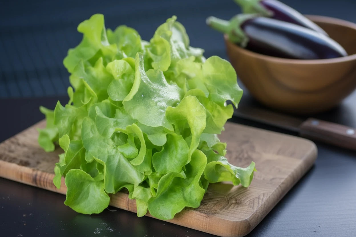 Oakleaf Green Lettuce Seeds Organic Green Lettuce Heirloom Seeds Non GMO Salad Greens Winter Spring Garden Gift Idea for Salad Lover Gardener