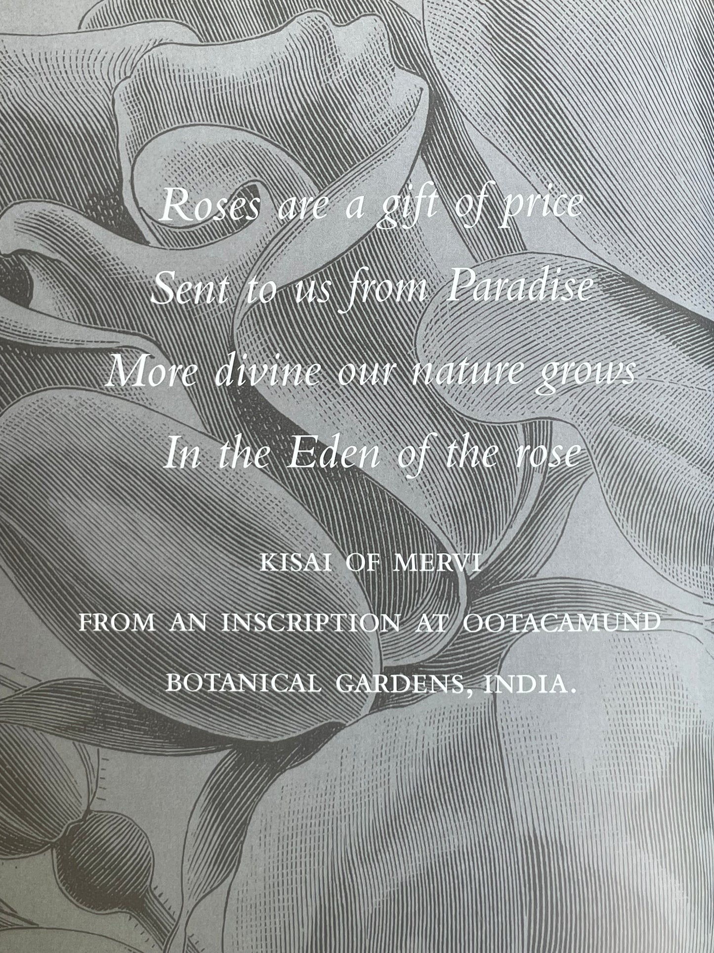 Roses from the Archives of the Royal Horticultural Society Book Rose Illustrations for Gardener of Roses Floral Enthusiast Gift Idea