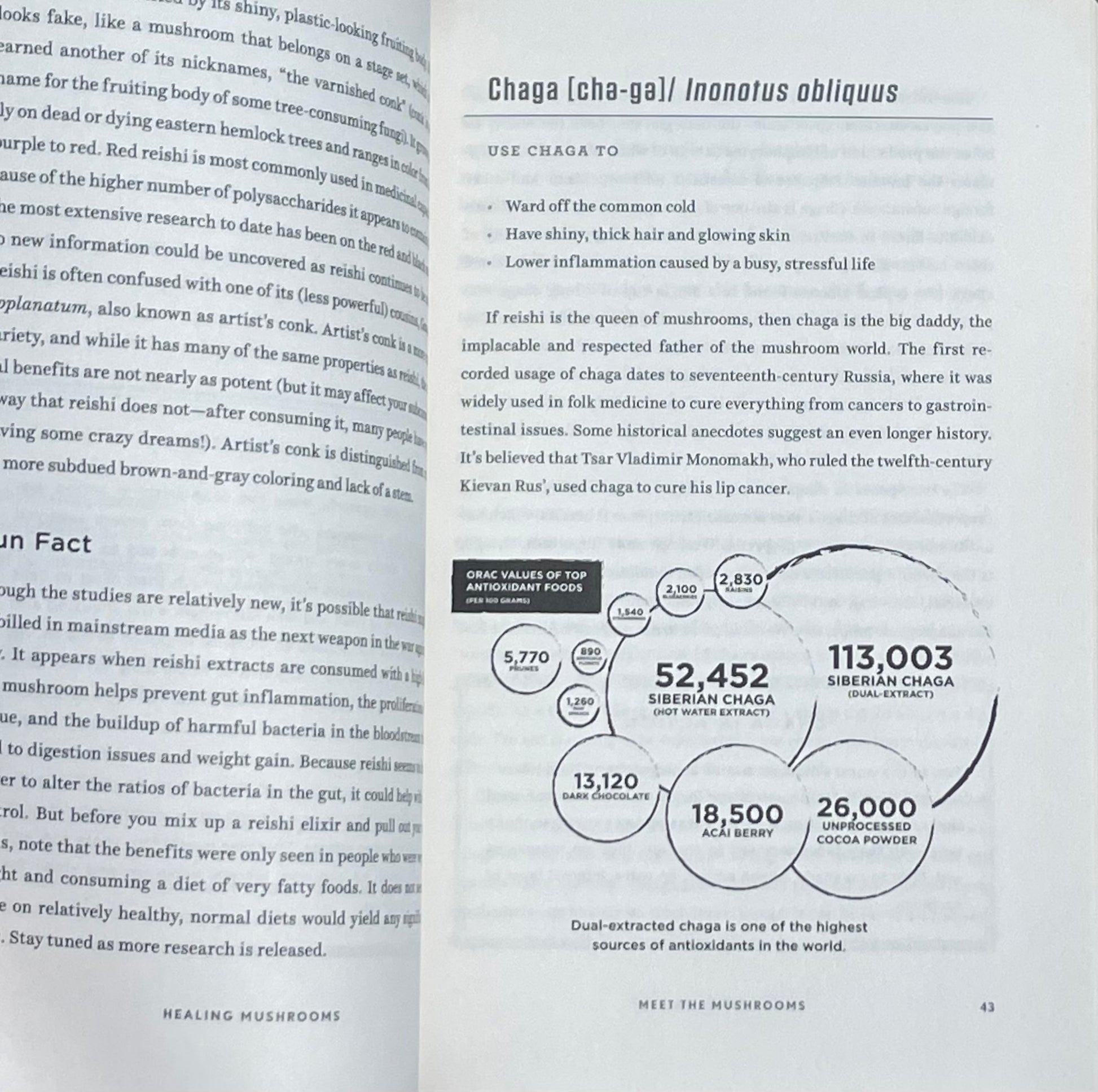 Adaptogenic Healing Mushrooms: A Practical and Culinary Guide to Using Mushrooms for Whole Body Health by Tero Isokauppila - Chaga Cordyceps Reishi