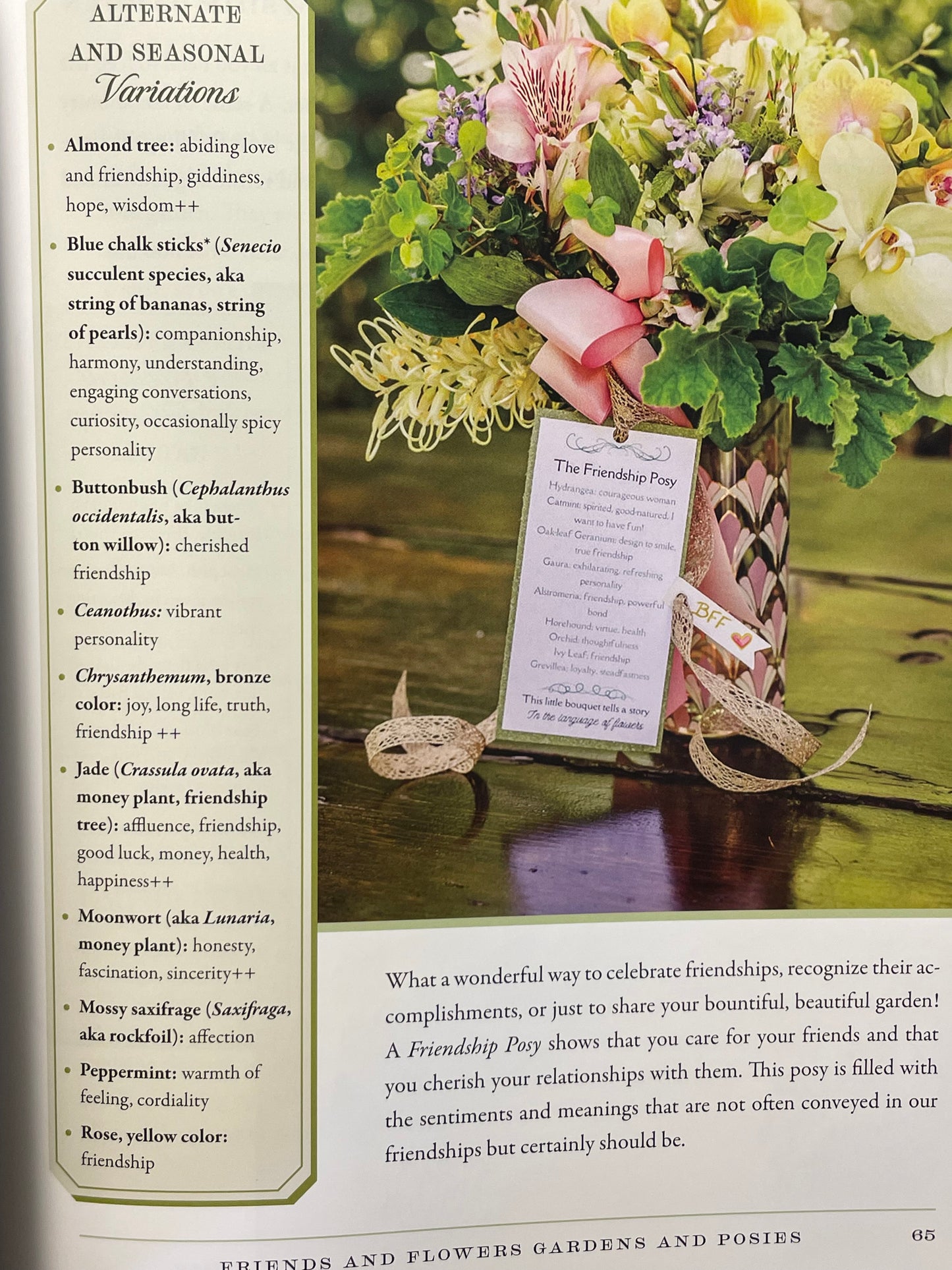 Modern Floriography Book of Flowers Garden Gift Language of Flowers Birthday Present Idea for Flower Lover Flower Design Floral Arrangement