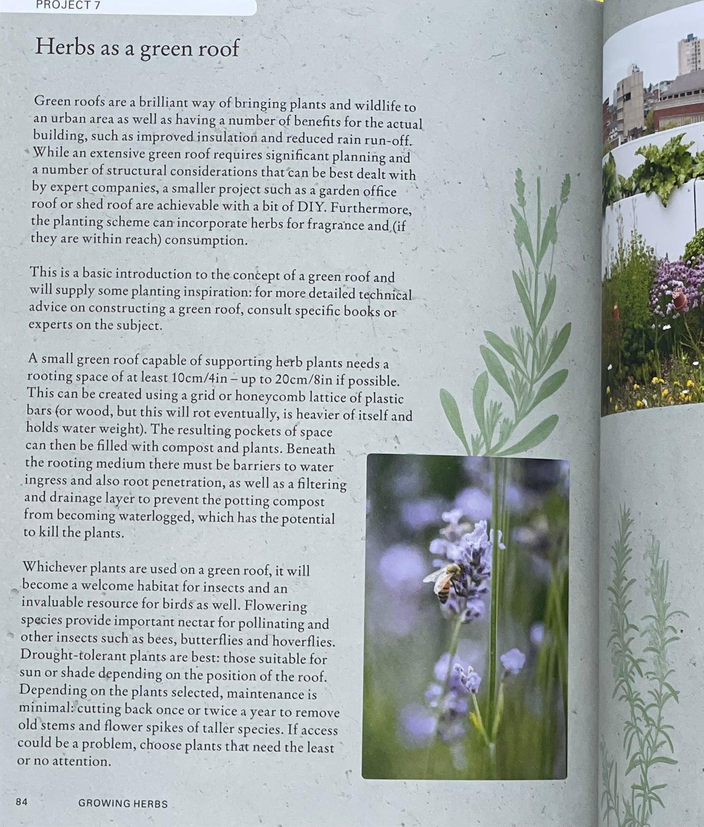 The Kew Gardener's Guide to Growing Herbs: The art and science to grow your own herbs (Volume 2) Hardcover