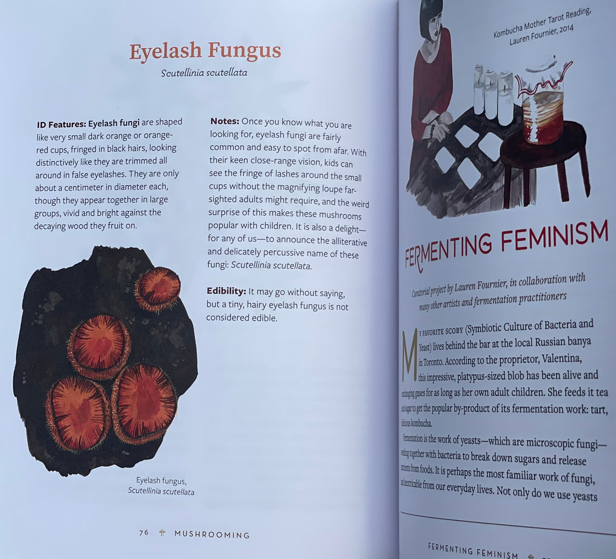 Mushrooming: An Illustrated Guide to the Fantastic, Delicious, Deadly, and Strange World of Fungi Adaptagen Cordyceps Eyelash Fungus Mushroom