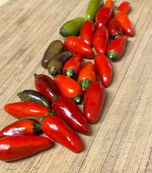 Peruvian Purple Hot Pepper Seeds