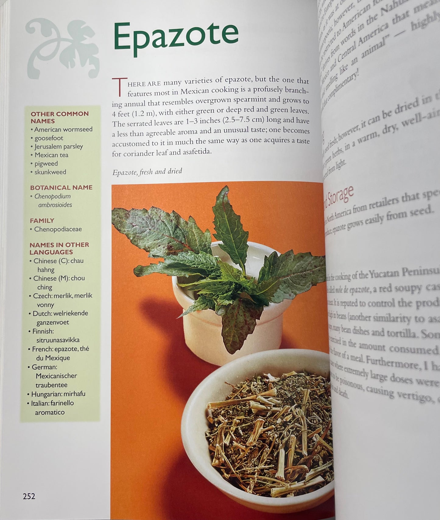 The Spice and Herb Bible - Ian Hempill