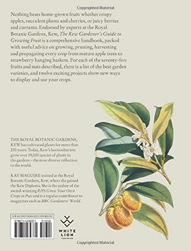 The Kew Gardener's Guide to Growing Fruit by Kay Maguire