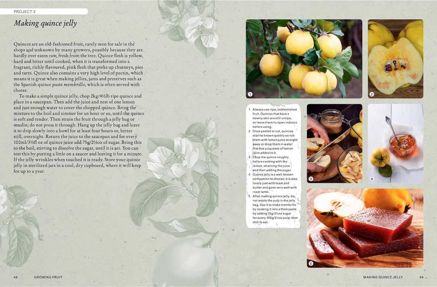 The Kew Gardener's Guide to Growing Fruit by Kay Maguire Book: Making quince jelly recipe