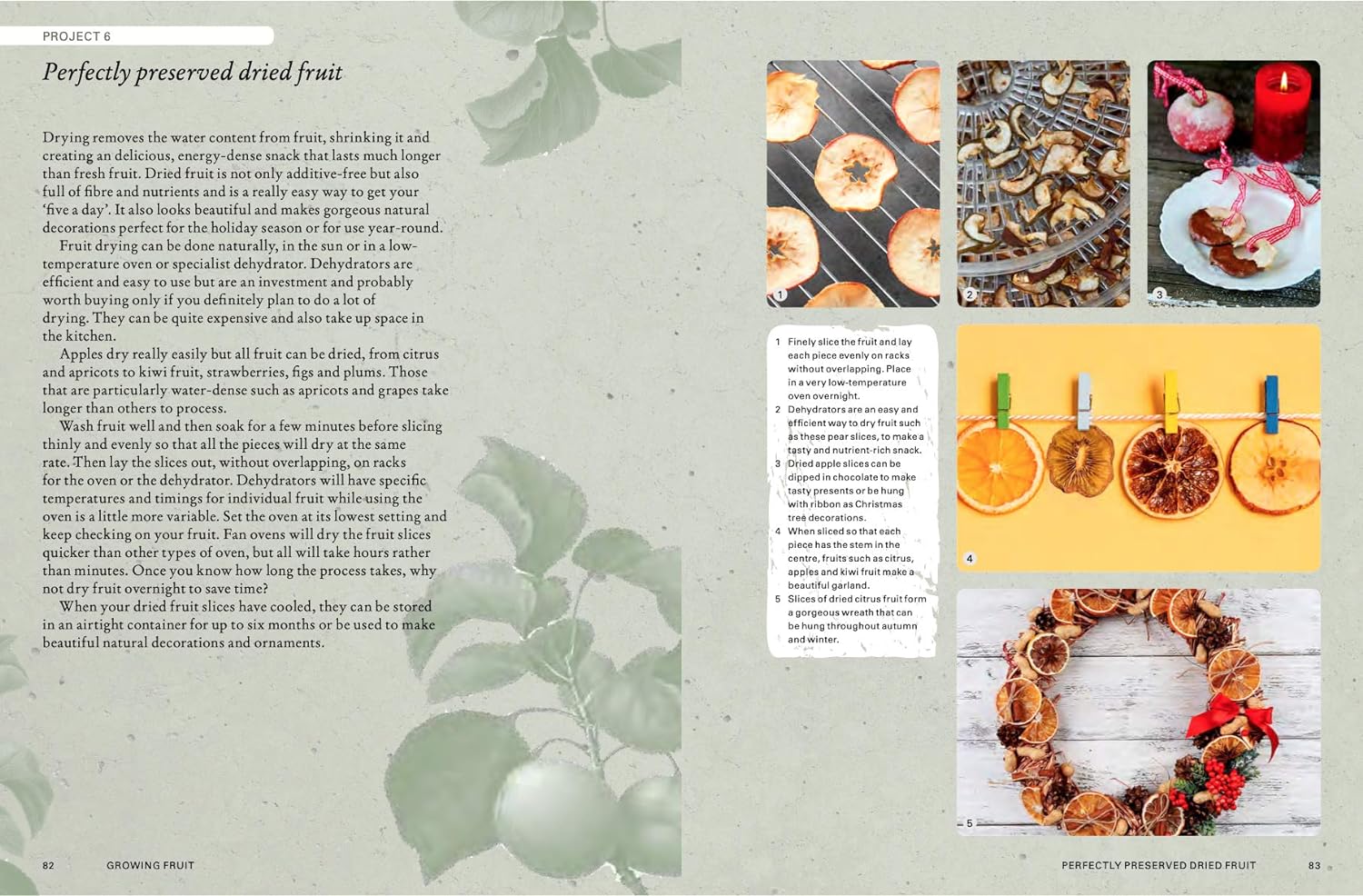 The Kew Gardener's Guide to Growing Fruit by Kay Maguire Book: Perfectly preserved dried fruit