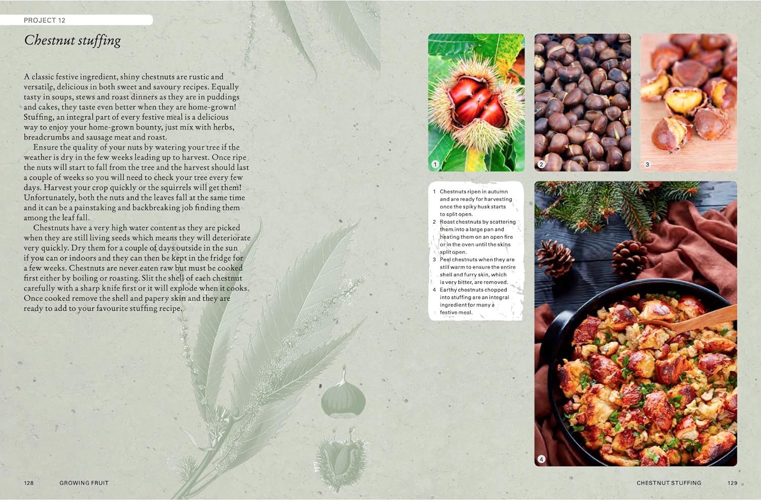 The Kew Gardener's Guide to Growing Fruit by Kay Maguire book: Cestnut Stuffing