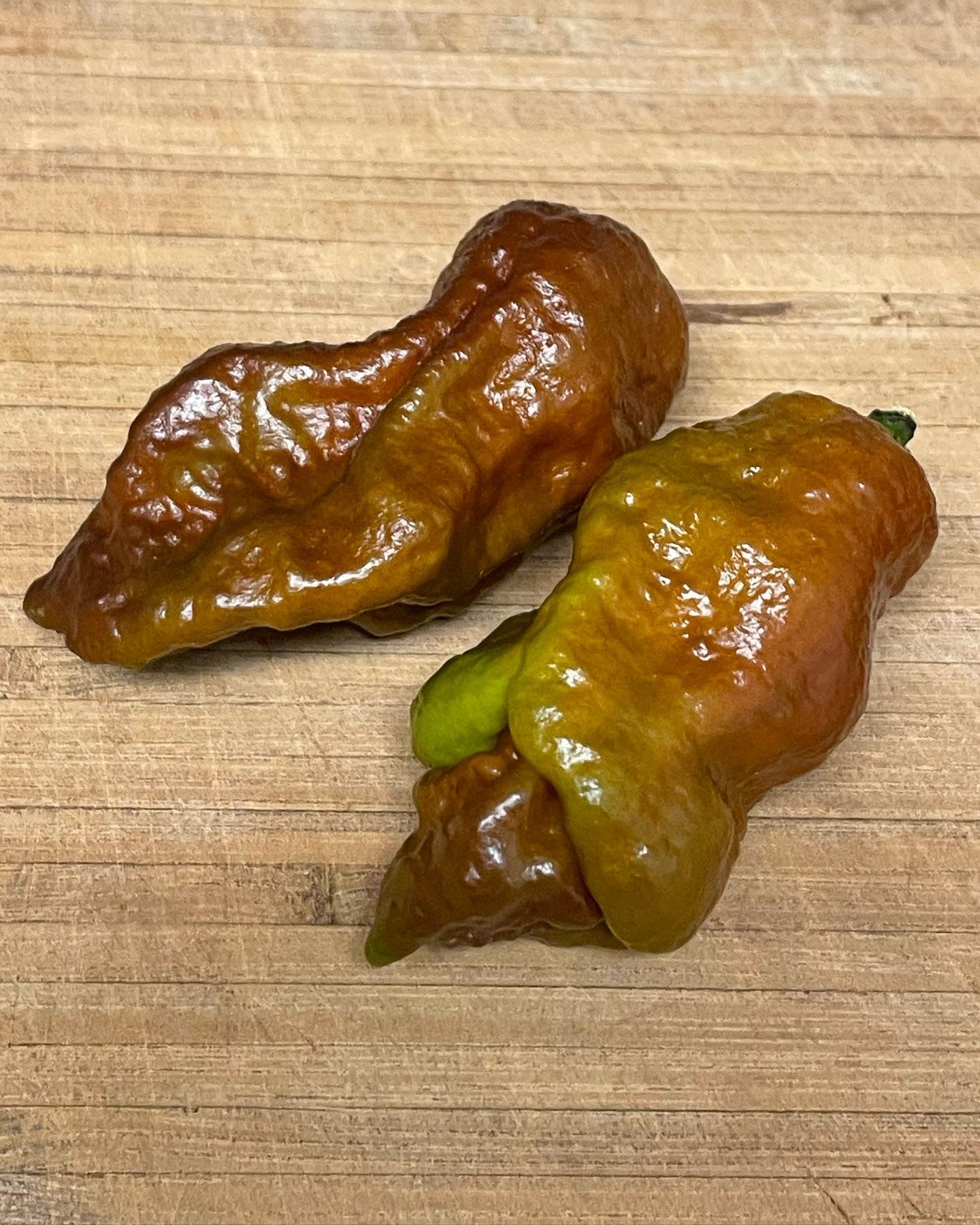 Rare Amnesia Hot Peppers - Hot Pepper Crossbreed