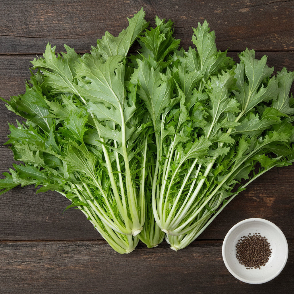 Mizuna Seeds Organic Green Lettuce Heirloom Seeds Non GMO Salad Greens Winter Spring Garden Gift Idea for Salad Lover Gardener (Copy) (Copy)