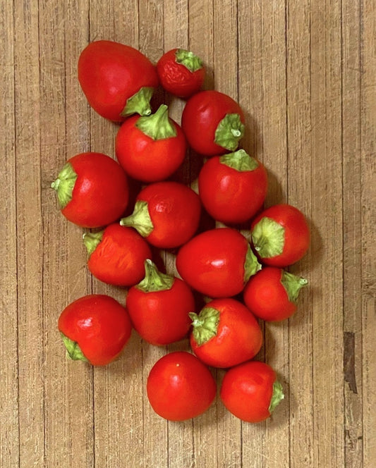 Hot Pepper Seeds Weri Weri Guyanese Capsicum Exotic Organic Hot Pepper Chili Seeds Wiri Wiri Spicy Pepper Garden Gift Idea Non GMO Vegetable